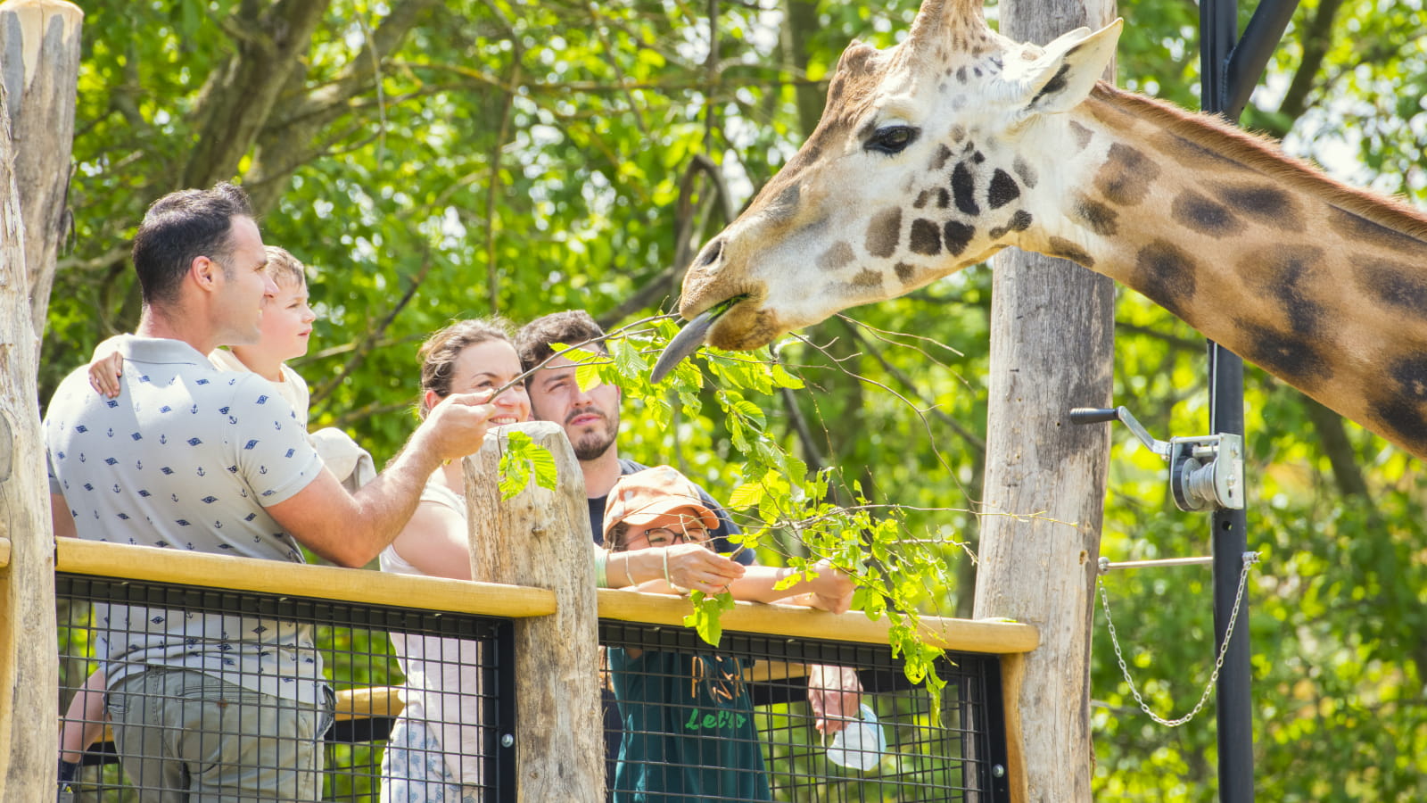 Girafe - Rhinoceros - Zoo d&#039;Amnéville