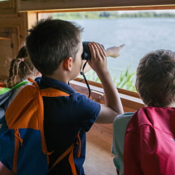 Au fil des plumes domaine de Lindres