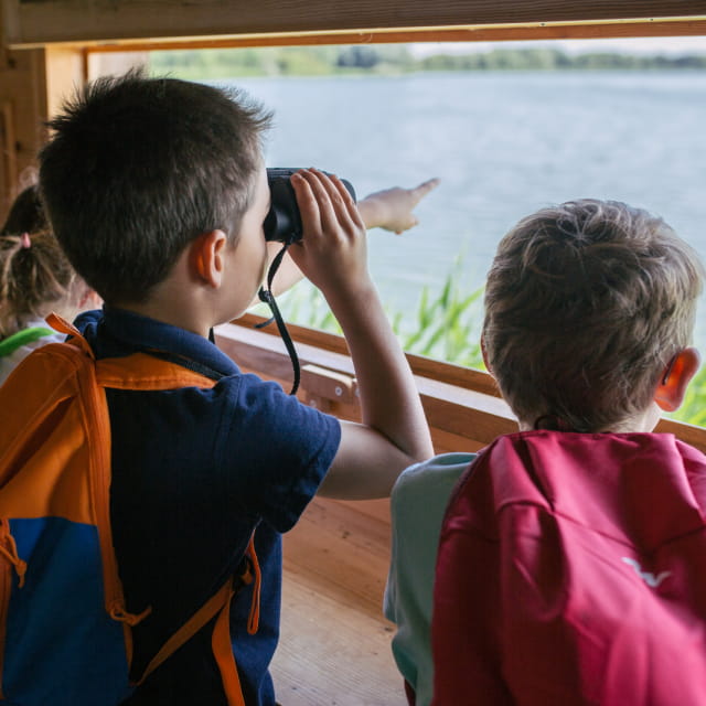 Au fil des plumes domaine de Lindres