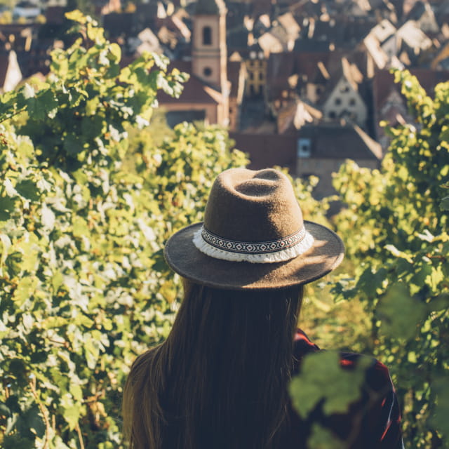Balade dans les vignes