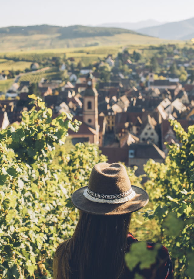 Balade dans les vignes