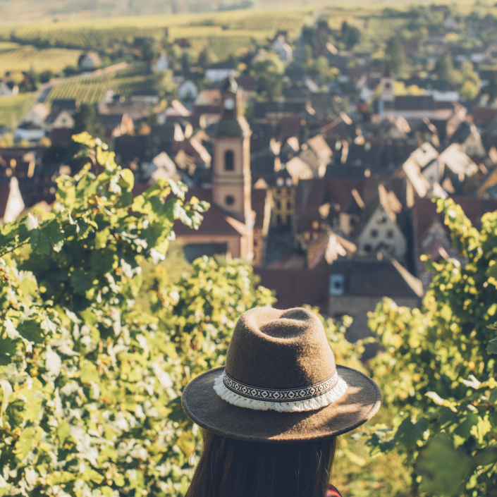 Balade dans les vignes