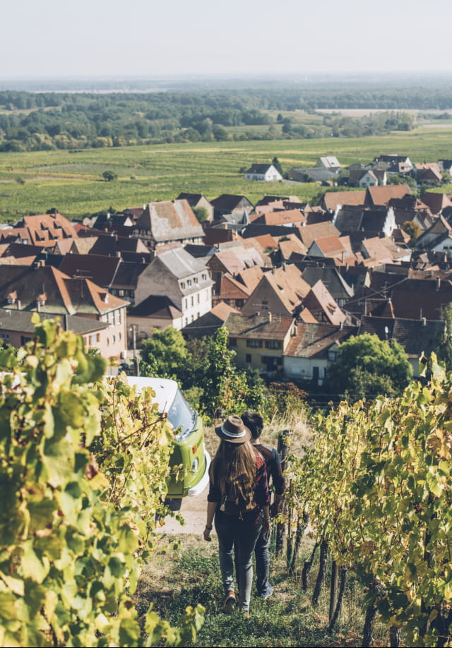 Balade dans les vignes