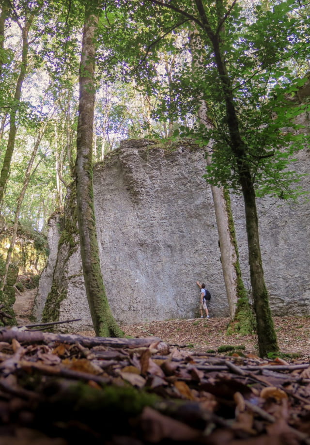 Haute-Marne, Gorges de la Vingeanne