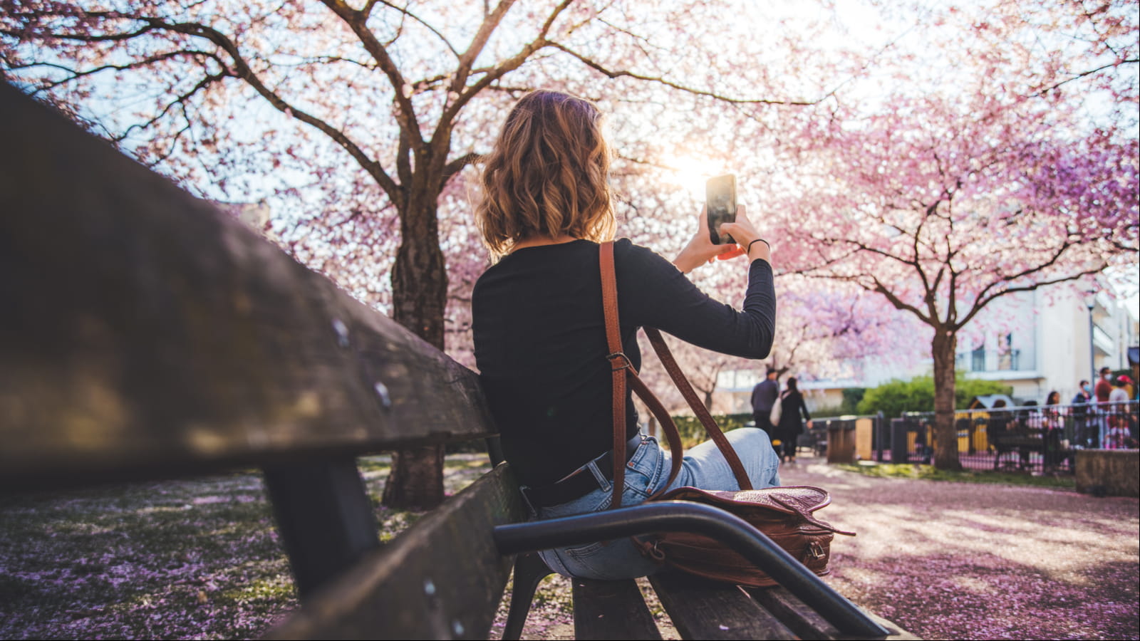 Nancy, parc Paul Verlaine