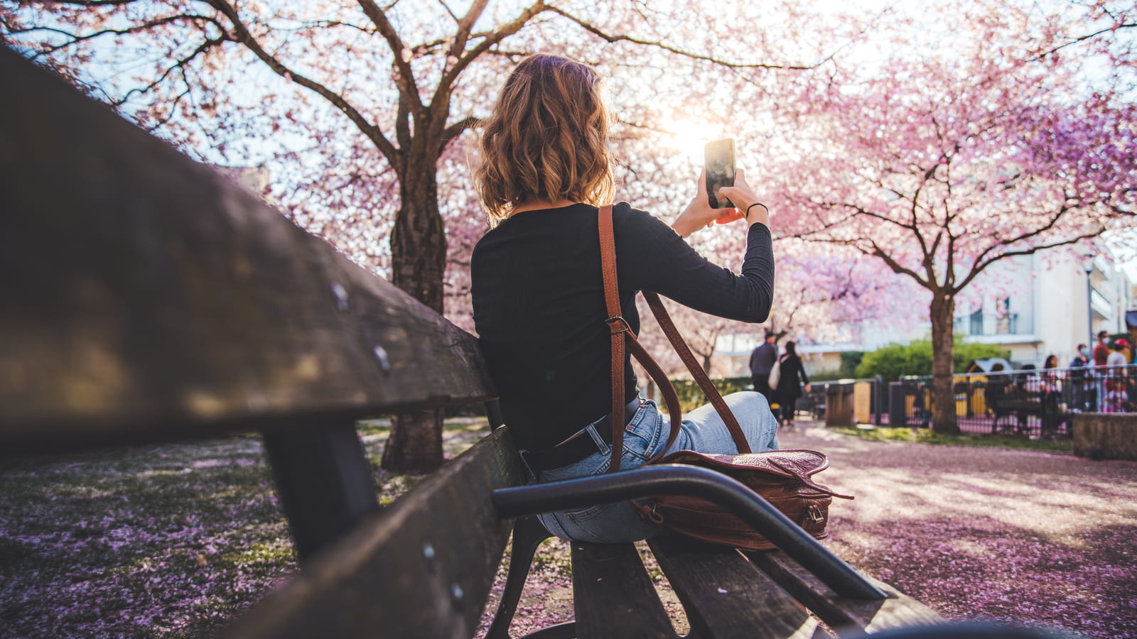 Nancy, parc Paul Verlaine