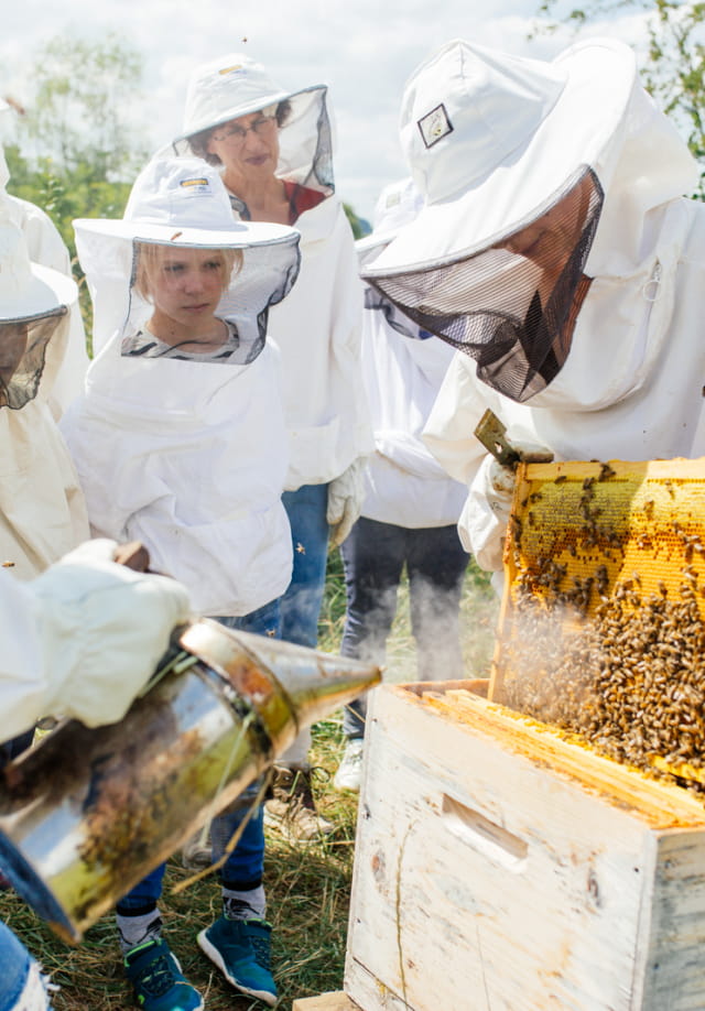 Nos amies les abeilles