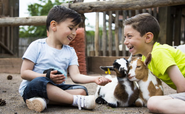 Parc Animalier de Sainte-Croix