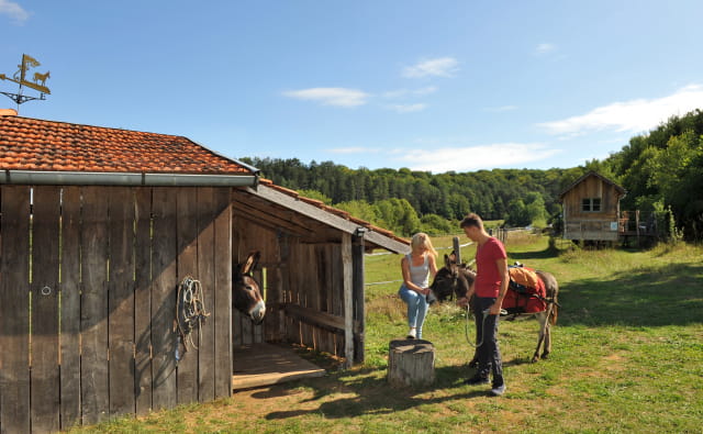 Parc national de forets