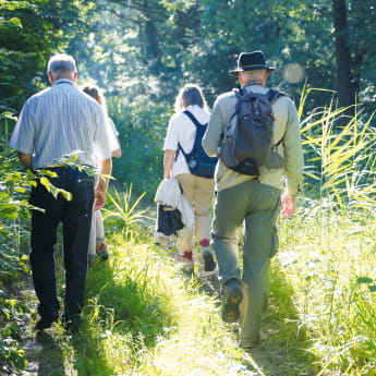 Le réveil des chevreuils