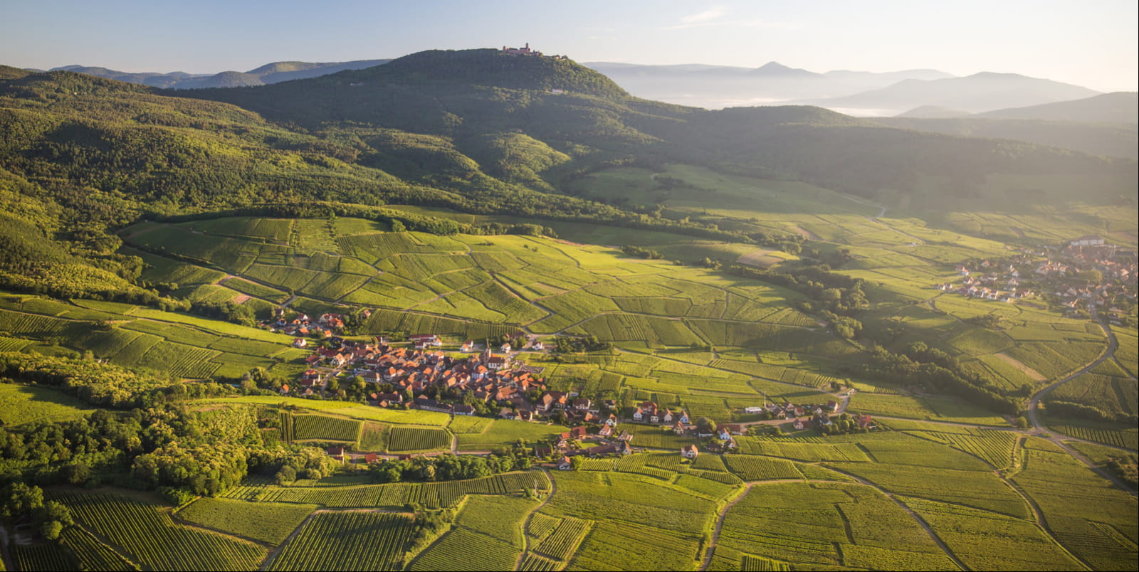 Route des Vins d&#039;Alsace