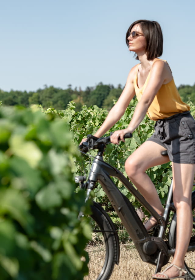Sortie vélo au coeur des vignes