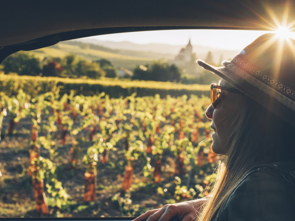 Sur la Route des Vins d&#039;Alsace