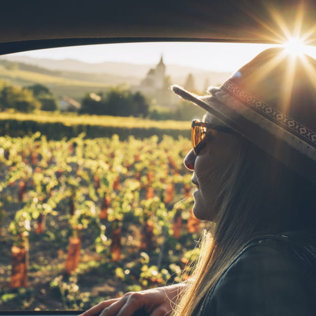 Sur la Route des Vins d&#039;Alsace