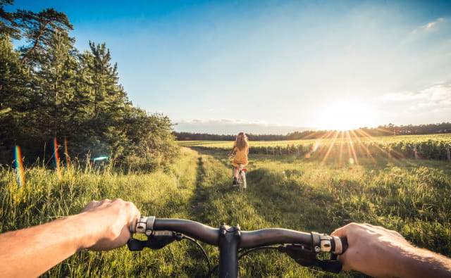 Vélo dans les vignes