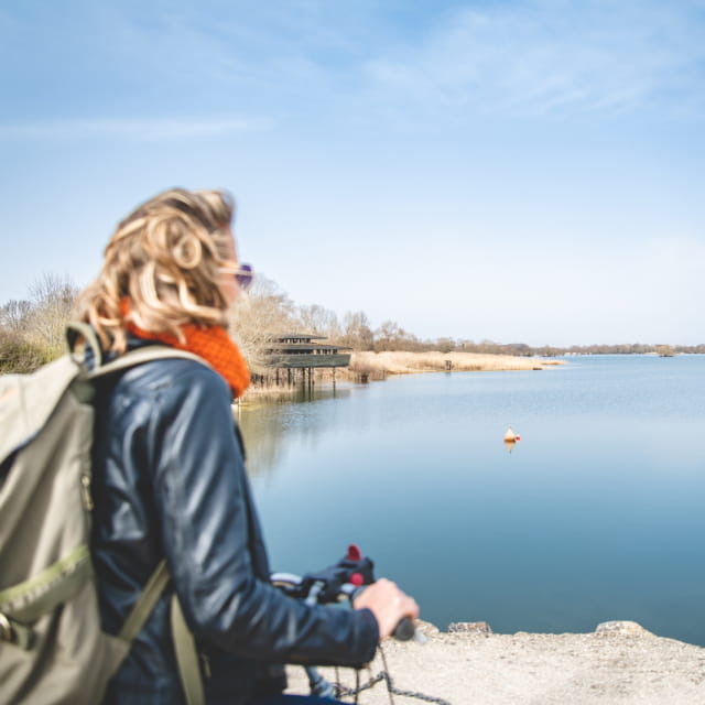 Vélo sur les berges du lac du Der