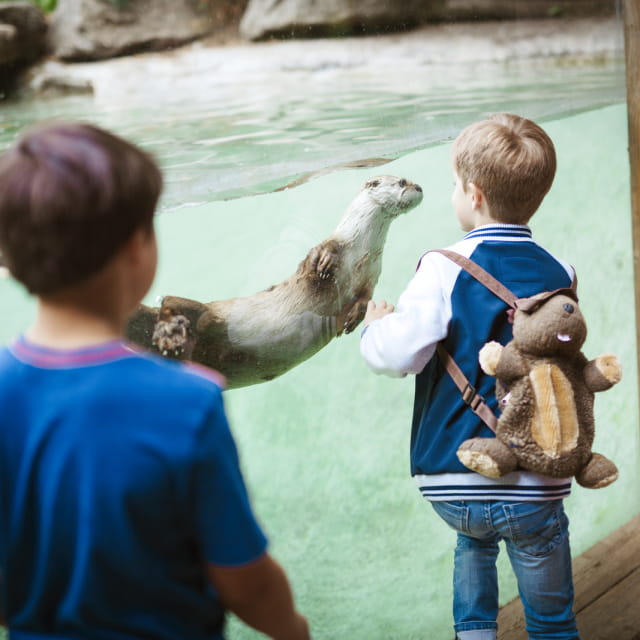 Zoo d&#039;Amneville