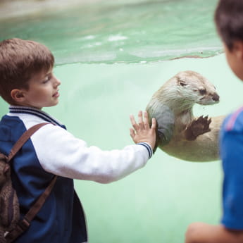 Zoo d&#039;Amnéville