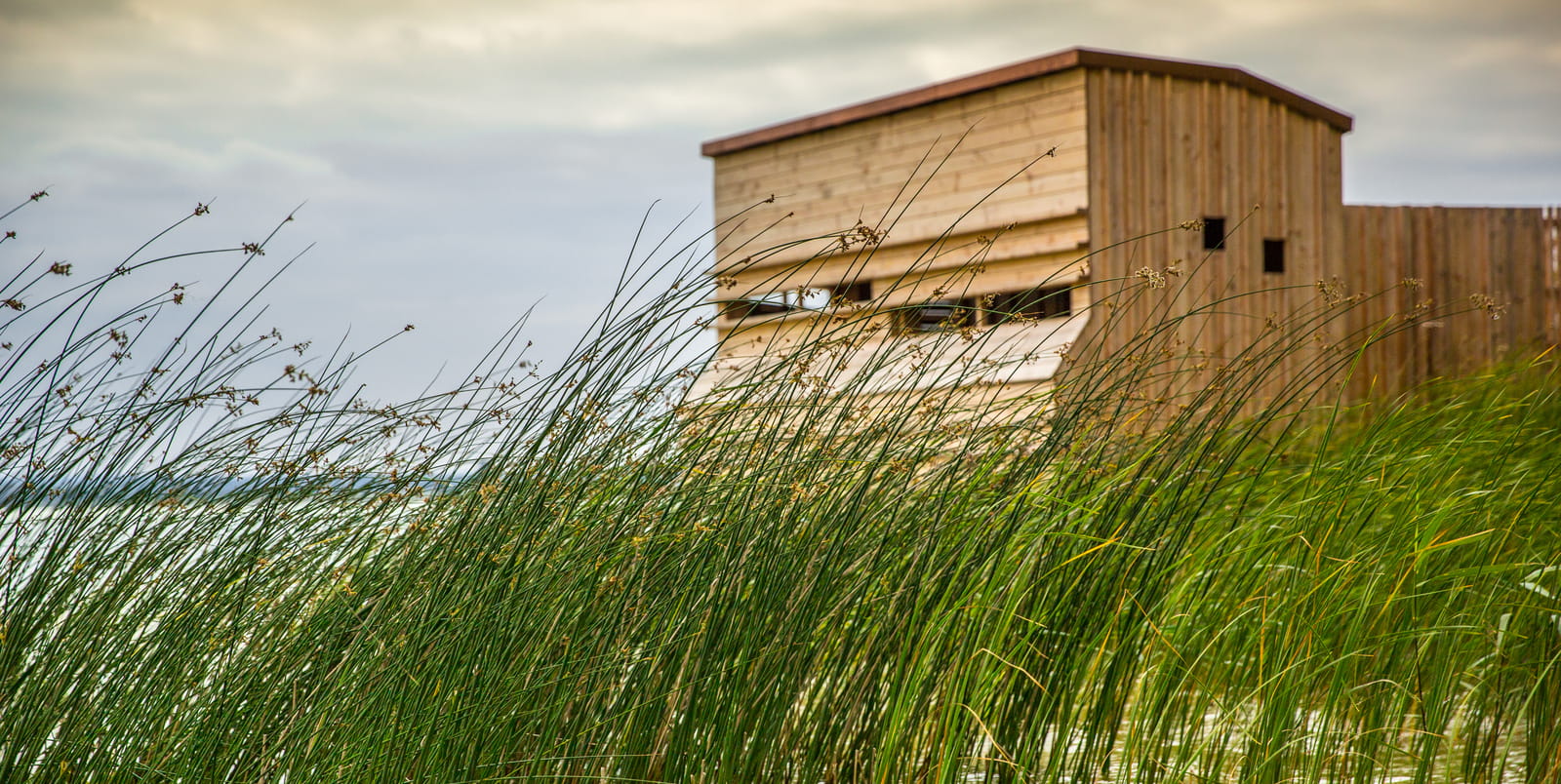 Observatoire ornithologique de la Pointe aux Chênes