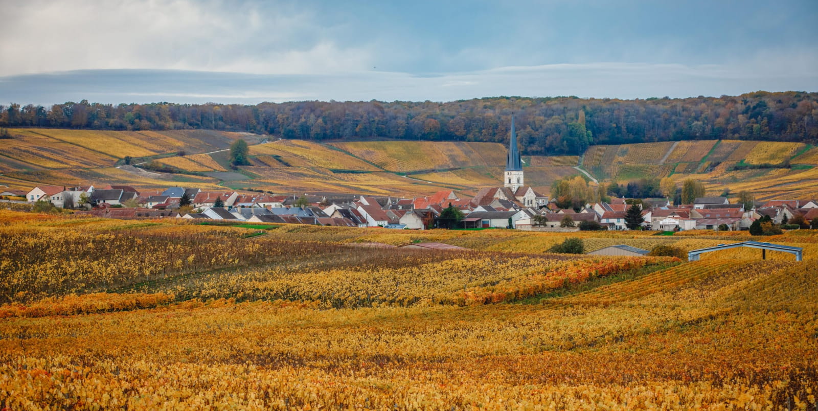La Montagne de Reims