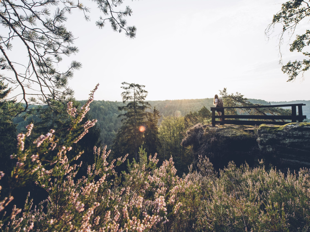 Rocher du Saut du Chien - La Petite Pierre