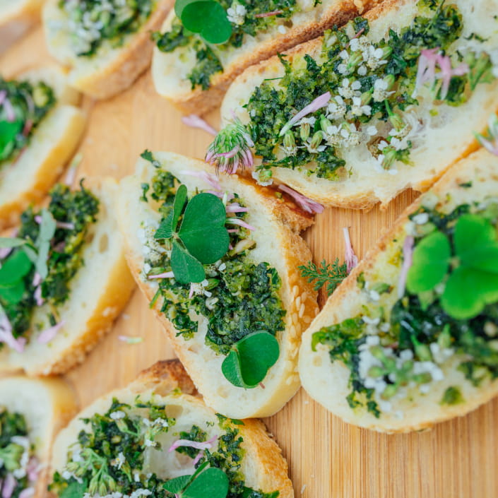 Sylvothérapie et cuisine en forêt