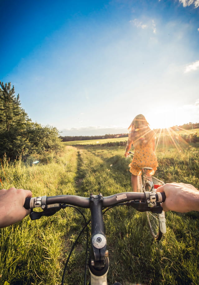 Vélo dans les vignes