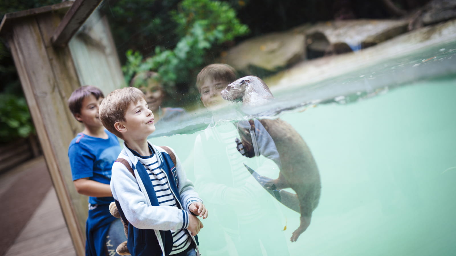 Zoo d&#039;Amneville