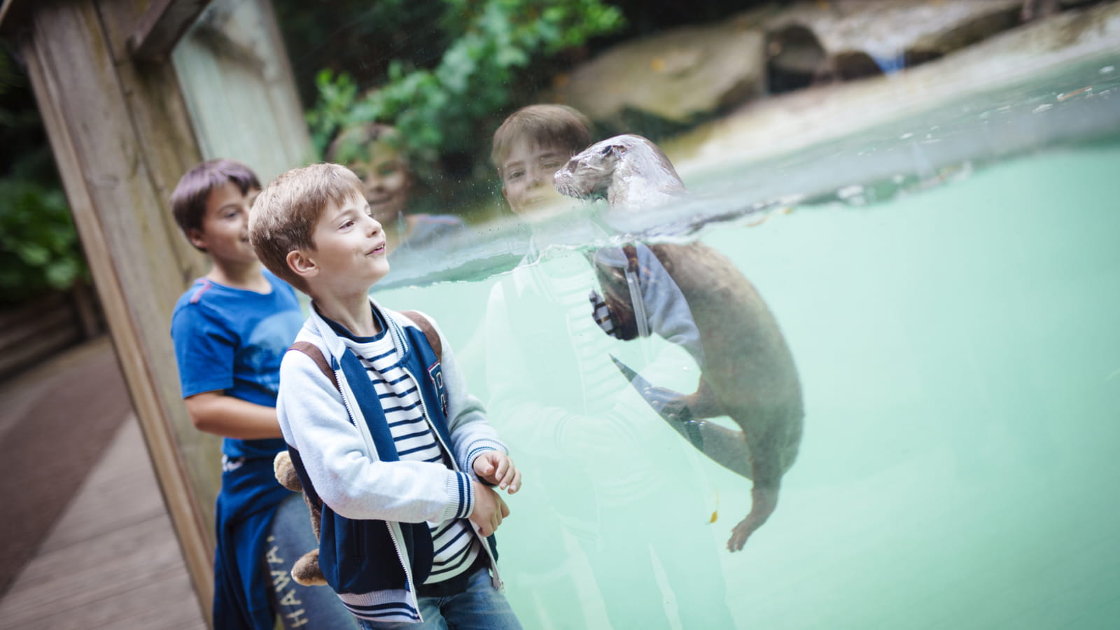 Zoo d&#039;Amneville