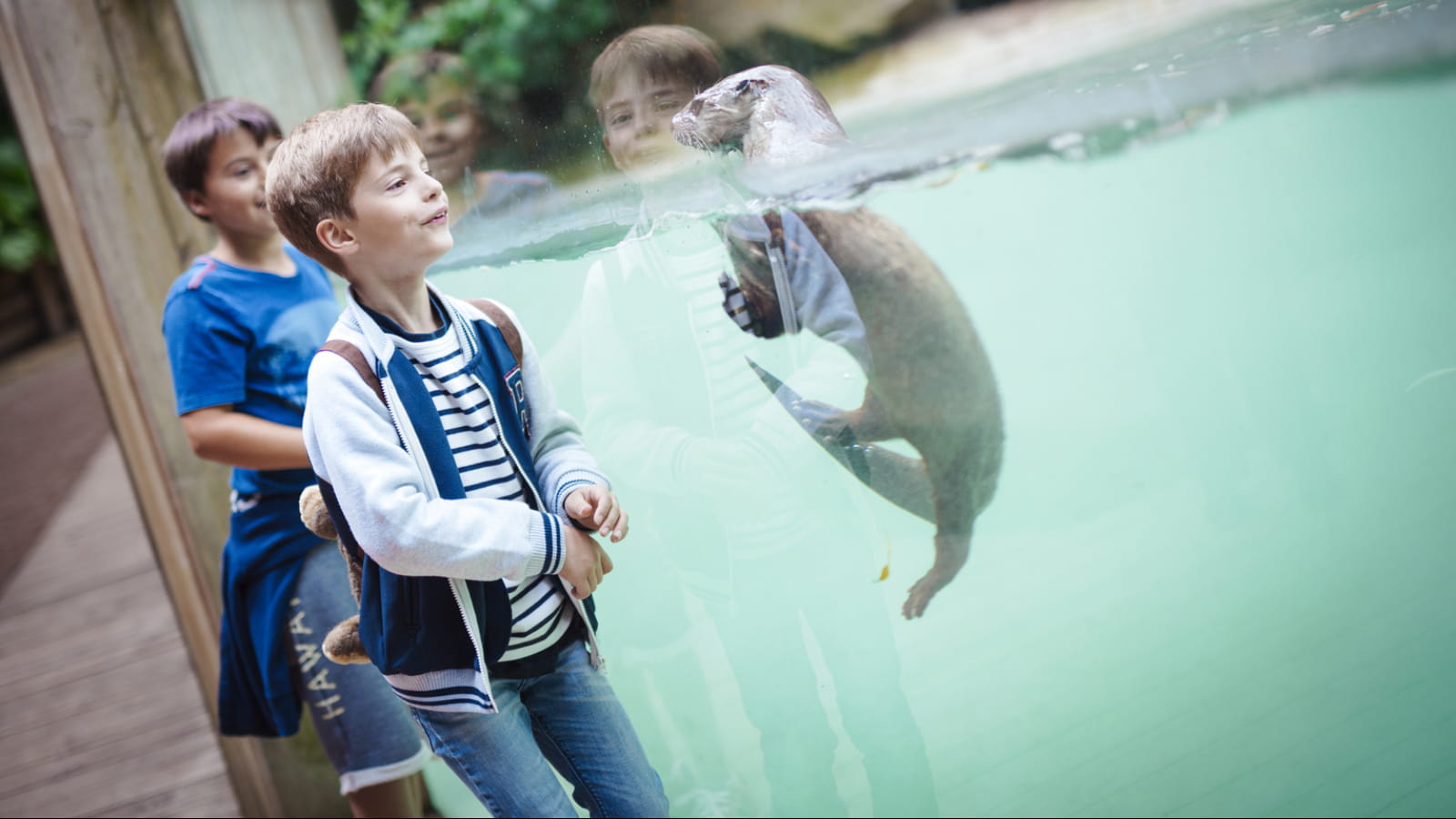 Zoo d&#039;Amneville