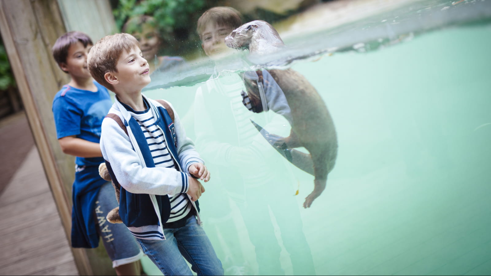 Zoo d&#039;Amneville