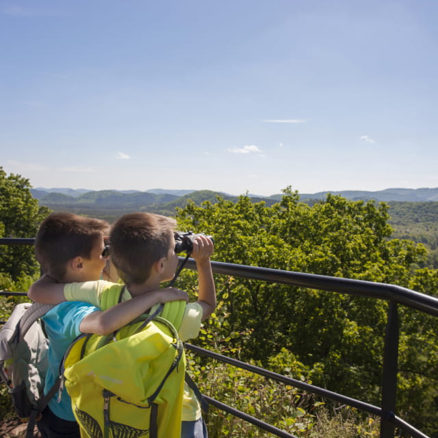 Randonnée à Bitche