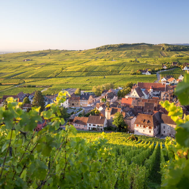 Riquewihr et son vignoble