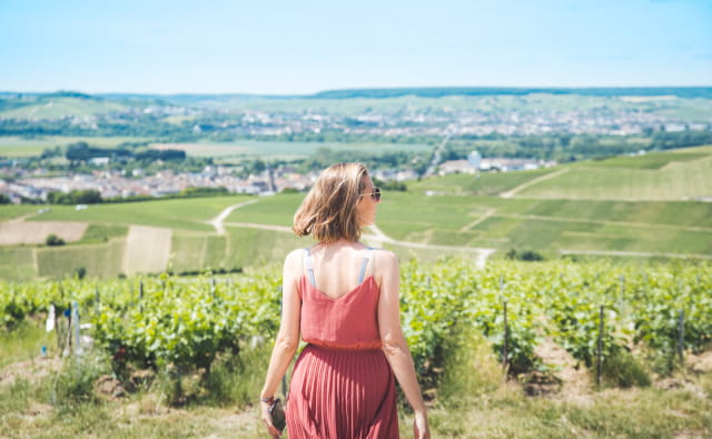 Vignoble de Champagne