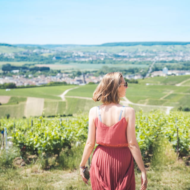 Vignoble de Champagne