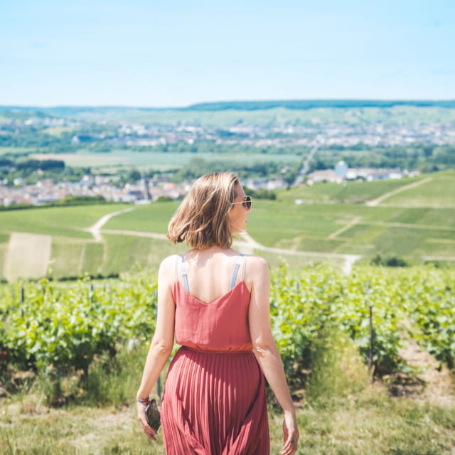 Vignoble de Champagne