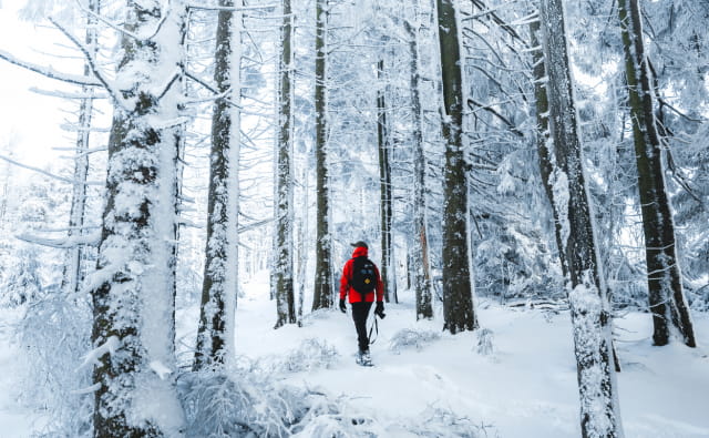 Randonnée d_hiver-Massif des vosges