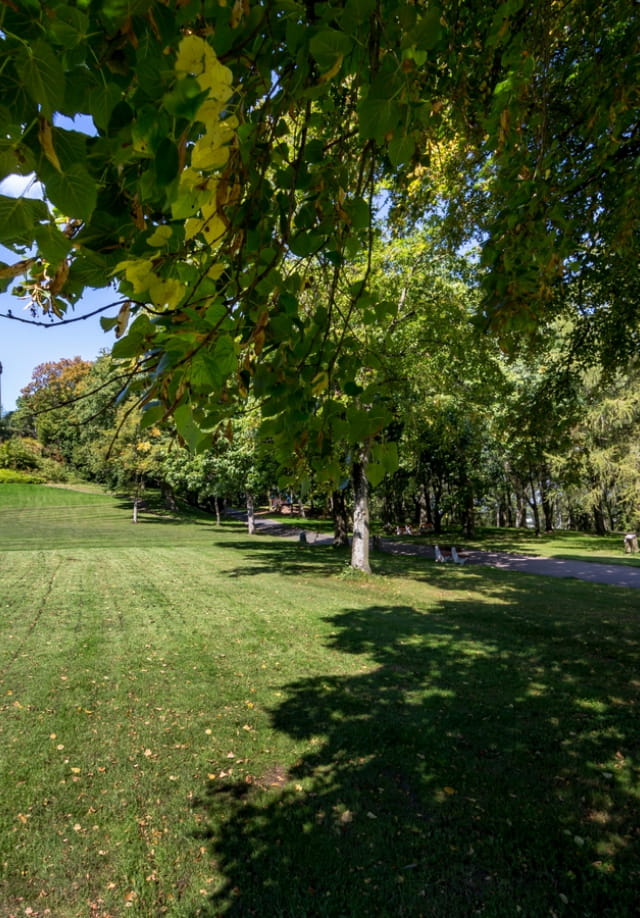 Parc Schlossberg à Forbach