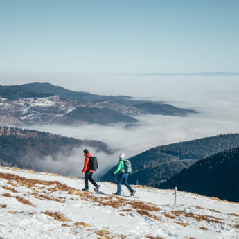 Randonnée raquettes dans le Massif des Vosges