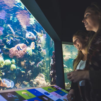 Muséum Aquarium de Nancy