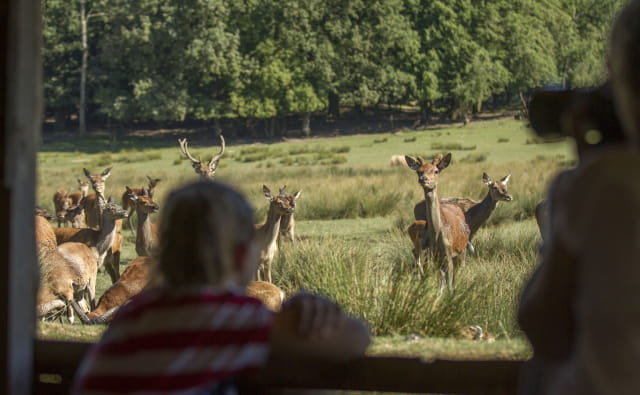 Parc Animalier de Sainte Croix