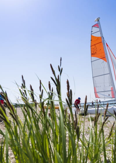 Parc naturel régional de la forêt d&#039;Orient