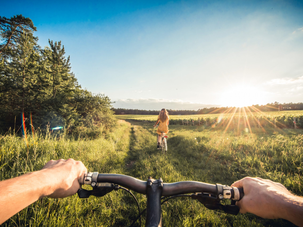 Vélo dans les vignes