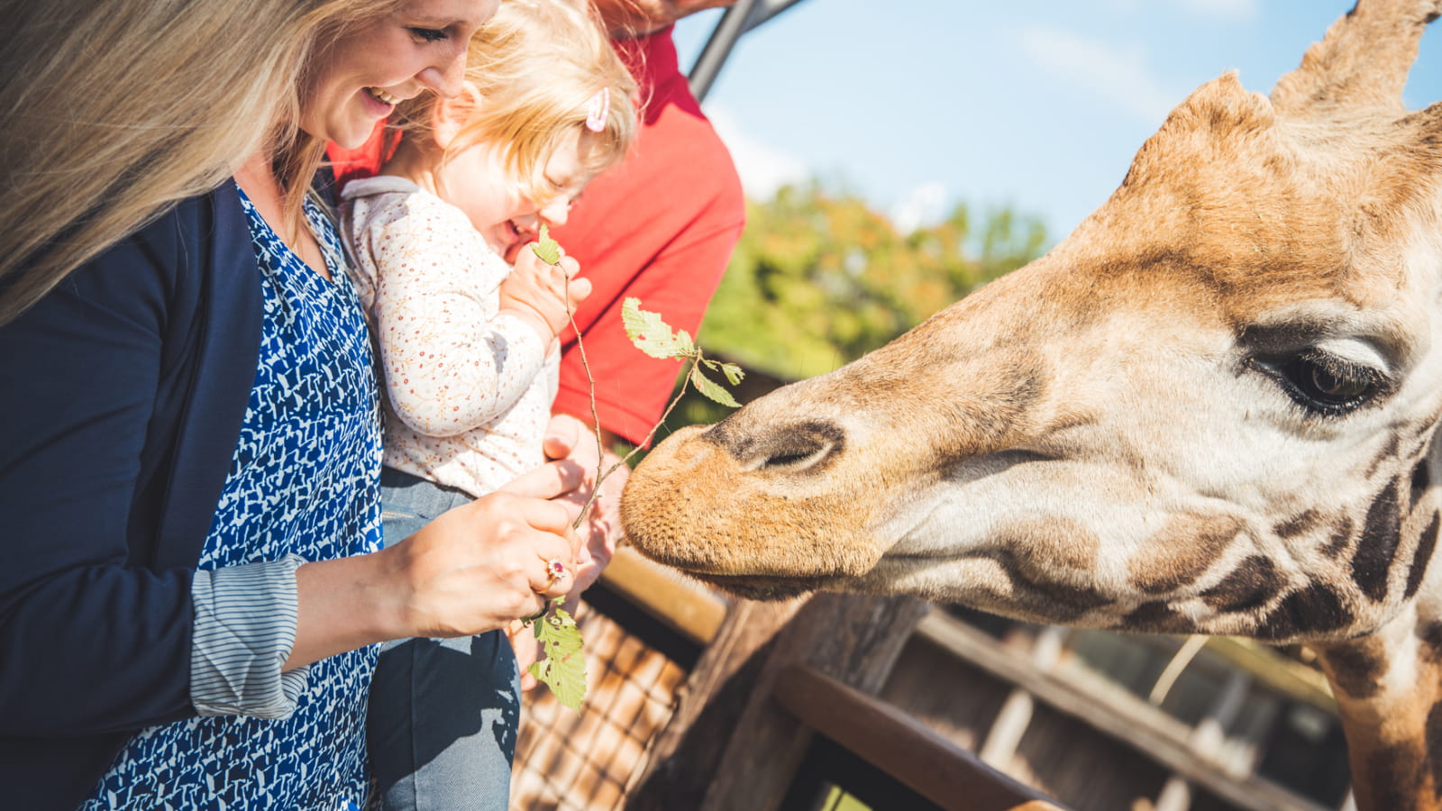 Zoo d&#039;Amnéville