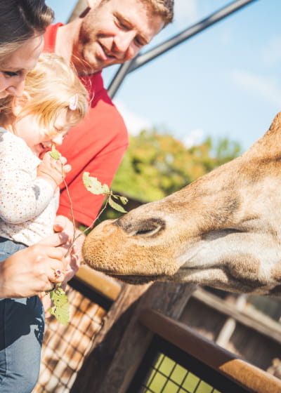 Zoo d&#039;Amnéville