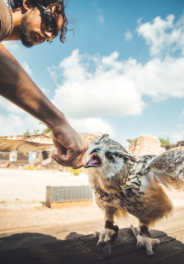 Zoo d&#039;Amnéville