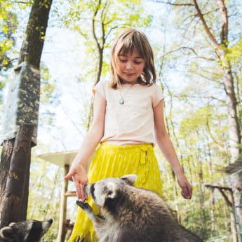 Parc Argonne Découverte