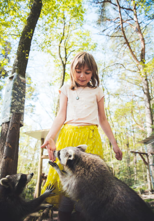 Parc Argonne Découverte