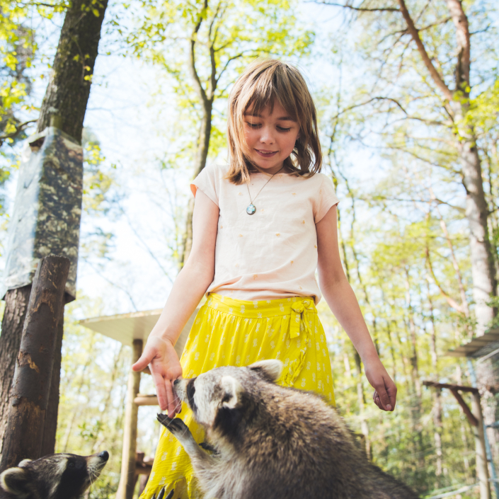 Parc Argonne Découverte
