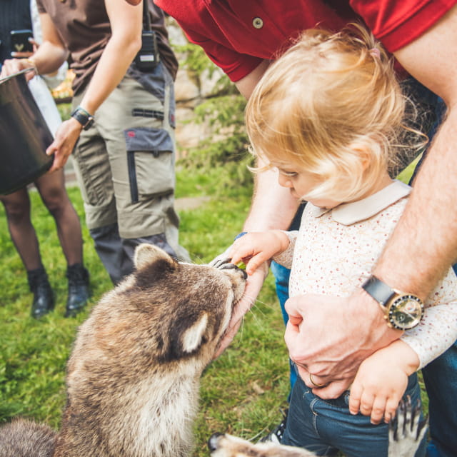 Zoo d&#039;Amnéville
